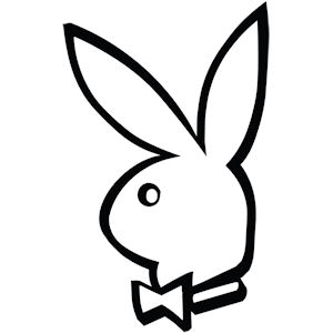 Image result for playboy bunny